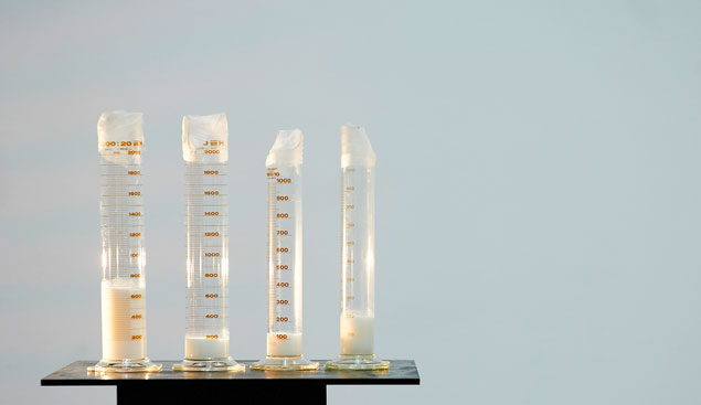 "Collection Spring/Summer" (2010)